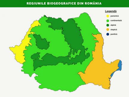 Pajiştile, pe cale de dispariţie: În 12 ani, România a pierdut pajişti pe o suprafaţă cât Oradea şi alte trei oraşe mari laolaltă