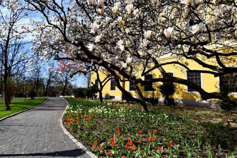 Ziua Pământului, sărbătorită cu tururi ghidate, joi, în grădina Palatului Baroc. Vezi cum arată! (FOTO)