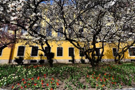 Ziua Pământului, sărbătorită cu tururi ghidate, joi, în grădina Palatului Baroc. Vezi cum arată! (FOTO)