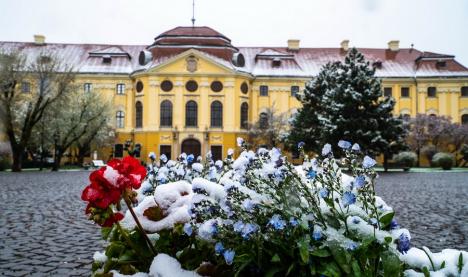 Zăpada mieilor: Bihorenii s-au trezit cu grădinile „albite”. La munte, este cod galben de ninsoare! (FOTO)