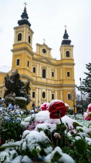 Zăpada mieilor: Bihorenii s-au trezit cu grădinile „albite”. La munte, este cod galben de ninsoare! (FOTO)