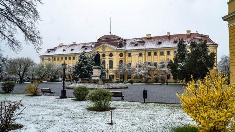 Zăpada mieilor: Bihorenii s-au trezit cu grădinile „albite”. La munte, este cod galben de ninsoare! (FOTO)