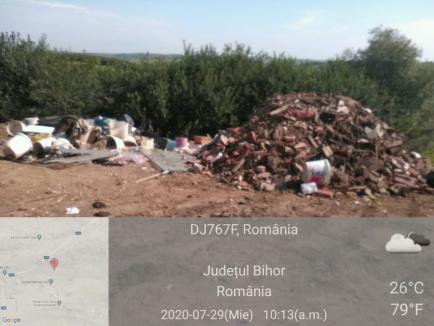 Amendă de 10.000 de lei, pentru un şofer care a aruncat gunoaie la marginea Paleului (FOTO)