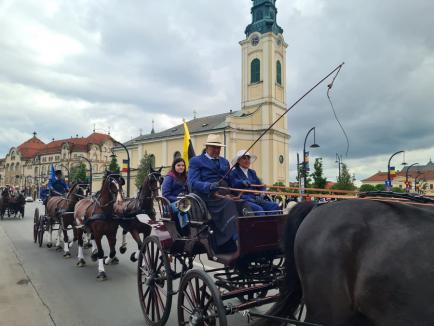 „Sunt minunaţi!': Atelaje cu cai de rasă, la paradă prin centrul Oradiei (FOTO/VIDEO)