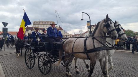 „Sunt minunaţi!': Atelaje cu cai de rasă, la paradă prin centrul Oradiei (FOTO/VIDEO)