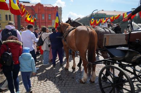 Parada atelajelor trase de cai a făcut senzație în centrul Oradiei (FOTO/VIDEO)