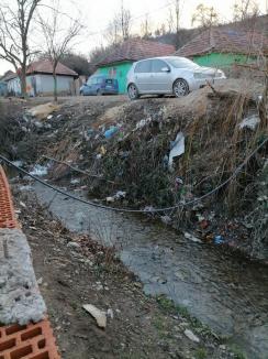 Râul gunoaielor: Un curs de apă din Bihor, care în urmă cu trei ani aducea la vale numai PET-uri, este în continuare plin de mizerii (FOTO)