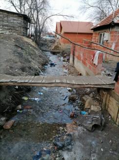 Râul gunoaielor: Un curs de apă din Bihor, care în urmă cu trei ani aducea la vale numai PET-uri, este în continuare plin de mizerii (FOTO)