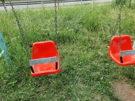 Parcul nepăsării: Un loc de joacă pentru copiii din Oradea, invadat de buruieni (FOTO)