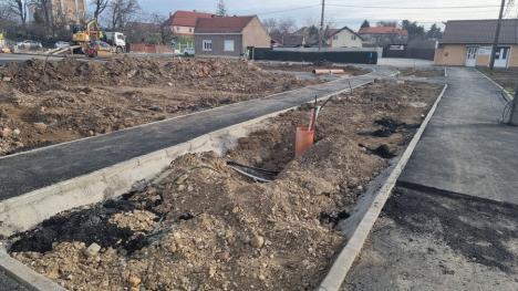 Un nou parc din Oradea, în pregătire. Lucrările ar putea fi gata la finalul lunii martie (FOTO)