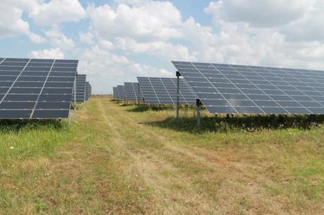 Investiție germană de 60 milioane euro într-un parc fotovoltaic la Diosig, pe un teren de 80 hectare