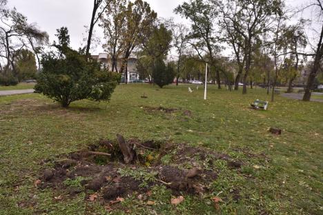 Ne enervează: Primăria Oradea nu s-a sinchisit să repare stricăciunile din Parcul 1 Decembrie (FOTO)
