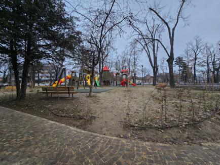 Reabilitare „naturistă”: Prin grija celor de la Cultură și Mediu, Parcul Petöfi a devenit spaima mămicilor (FOTO)