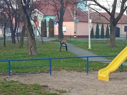Nesimţiţi de la începutul anului: Vandalii au distrus coșurile de gunoi dintr-un parc din Oradea (FOTO)