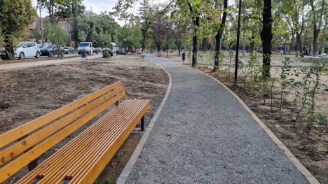 Au început plantările în parcul Petőfi: Vor fi sădiți aproape 200 de copaci (FOTO)