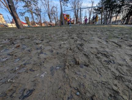 Primăria le dă dreptate orădenilor și pune mai mult tartan în Parcul Petőfi (FOTO)