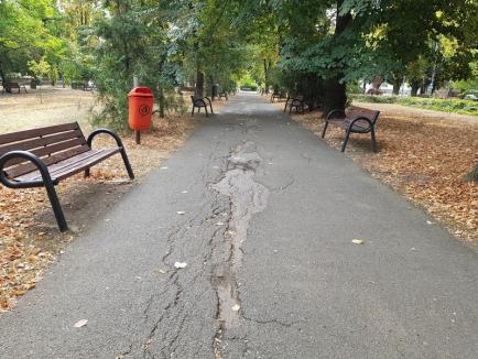 Parc uitat: Parcul Petőfi din Oradea este părăginit şi murdar, chiar dacă Primăria a angajat o firmă care să-l întreţină (FOTO)