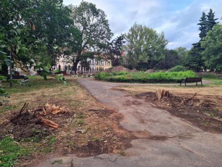 Parcul 1 Decembrie din Oradea este pe jumătate defrișat în urma furtunii (FOTO)