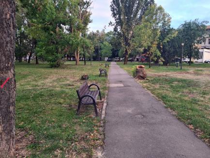 Parcul 1 Decembrie din Oradea este pe jumătate defrișat în urma furtunii (FOTO)