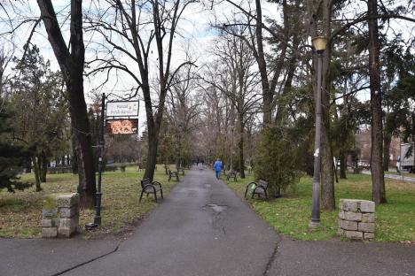 Oradea verde: Ce planuri are Primăria pentru parcurile din oraș și unde mai face zone verzi (FOTO)
