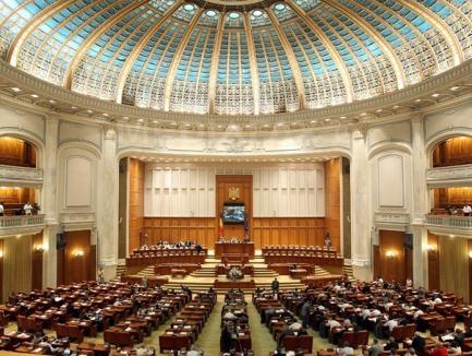 Final al Ordonanţelor 13 şi 14 în Parlament: Camera Deputaţilor a respins OUG 13 şi a adoptat OUG 14