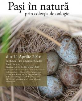Şcoala Altfel la Muzeu: Elevii pot vedea cea mai mare colecţie de ouă de pasăre din Europa Centrală şi de Est