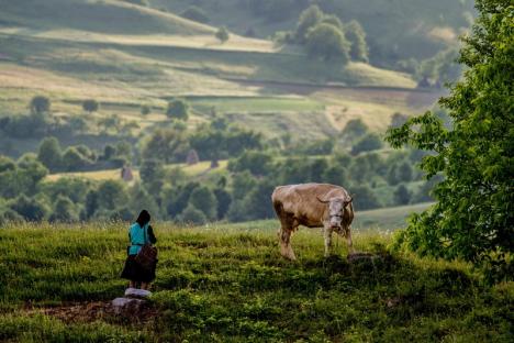 Tabăra Discover Bihor, la prima ediţie: Fotografi din mai multe ţări vin în Bihor să surprindă frumuseţile locului