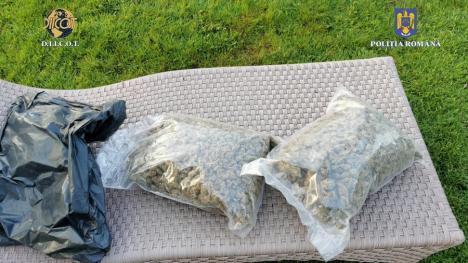 „Culcat!”. Percheziții DIICOT în Bihor și-n alte județe, la o rețea ce vindea cocaină, cannabis și ecstasy. Imagini cu intervenția mascaților (FOTO/VIDEO)