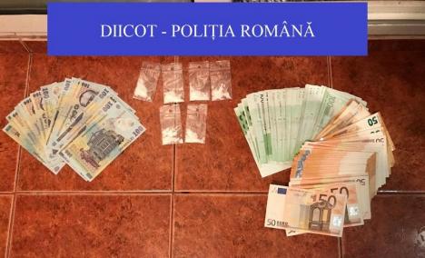 Percheziţii DIICOT, inclusiv în Oradea: Captură importantă de droguri (FOTO)