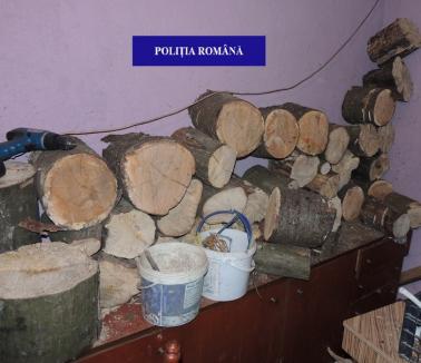 Percheziţii la doi săteni din Copăcel, bănuiţi de tăieri ilegale de arbori: Poliţiştii le-au confiscat drujbele, dar şi toate lemnele din gospodărie (FOTO)