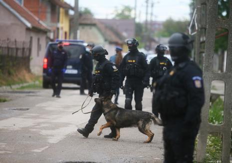Percheziții în Oradea: Polițiștii au căutat dovezi într-un dosar cu infracțiuni silvice și informatice
