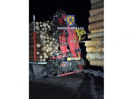 Mafia lemnului, „trezită” de mascaţii şi inspectorii ANAF: 146 de percheziţii, inclusiv în Bihor (FOTO/VIDEO)