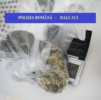 Captură DIICOT în Marghita: Au fost confiscate aproape 1.000 de pastile de ecstasy și amfetamine, cantităţi de canabis, rezină de canabis și ţigări nemarcate. Două persoane au fost reţinute