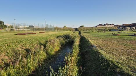 Coridorul soarelui: Noul parc din cartierul Grigorescu are pergole fără plante! (FOTO)