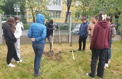 Școala „verde”: Proiect de grădină urbană în curtea Liceului German Friedrich Schiller din Oradea (FOTO)