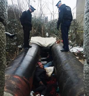 Poliţia Locală a ridicat de pe străzi în decembrie 19 boschetari şi 52 de cerşetori