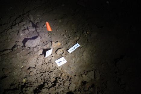 Pe urmele strămoşilor: Cercetătorii au găsit într-o peşteră din Bihor cele mai vechi urme de paşi de om din Europa (FOTO)