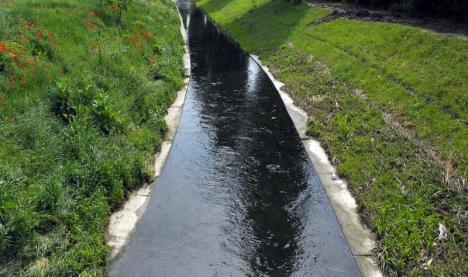 Peţa contaminată: Resturi menajere deversate în pârâu, prin reţeaua de canalizare pluvială a Oradiei