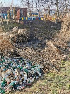 Certați cu bunul-simț: „Baraj” de gunoaie pe un pârâu din Oradea (FOTO)