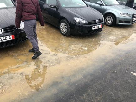 'Bătaie de joc': Bălteşte apa în noua Piaţă 100 din Oradea. Află reacția ADP (FOTO)