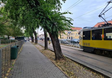 Facerea de bine: Un adolescent din Oradea a fost jefuit în staţia de tramvai chiar de cerșetorul pe care a vrut să-l ajute