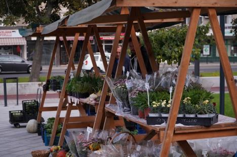 „În sfârşit, o idee bună!”: S-a deschis piaţa volantă în cartierul orădean Nufărul (FOTO/VIDEO)