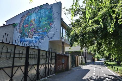 Fața orașului: Încă o pictură murală a răsărit în centrul Oradiei