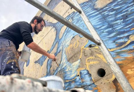 Oradea devine o galerie de artă stradală datorită proiectelor de bugetare participativă