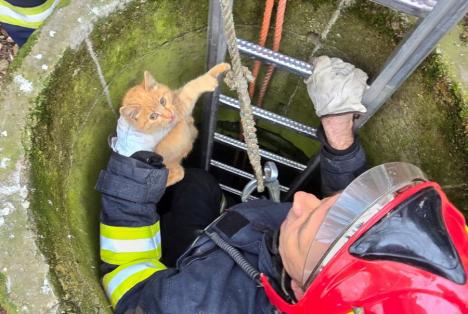 Aventurile lui Garfield de Bihor: A căzut într-o fântână adâncă de 10 metri și a fost salvat de pompieri