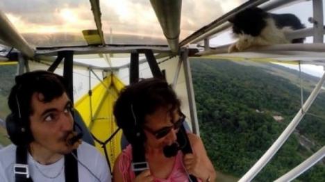 Mi-WOW: O pisică a fost pasager surpriză pe aripa unui avion, în timpul zborului (VIDEO)
