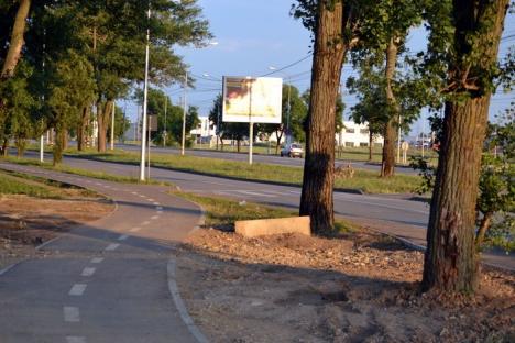 Piste către nicăieri: Primăria a investit în amenajarea de piste ineficiente pentru biciclişti (FOTO)