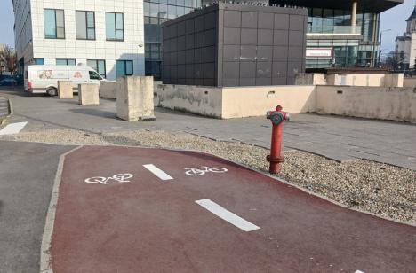 Oradea ieri, Oradea azi: De la prima pistă pentru bicicliști, la o rețea fragmentată (FOTO)