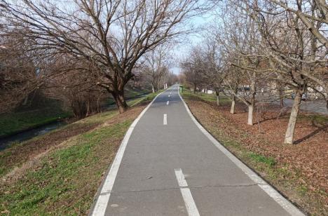 Oradea ieri, Oradea azi: De la prima pistă pentru bicicliști, la o rețea fragmentată (FOTO)