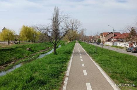 Oradea ieri, Oradea azi: De la prima pistă pentru bicicliști, la o rețea fragmentată (FOTO)